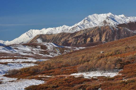 Bela paisagem no Denali National Park, no Alaska
